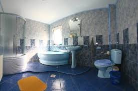 A Hotel Com Pensiunea Dana Guest House Vatra Dornei Romania Price Reviews Booking Contact