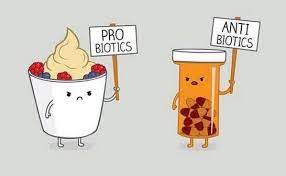 Pharmacy Humor Probiotics Vs Antibiotics Medical Humor Science Puns Science Jokes