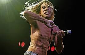 Iggy pop ascends to greatness: Jede Narbe Zeugnis Gelebter Ablehnung Badische Zeitung Ticket