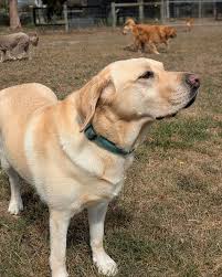 There was something in the...