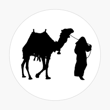 Limited time sale easy return. Camel And Man Poster By Ralick Redbubble