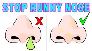 How To Stop A Runny Nose Instantly! - Youtube