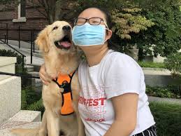 Contact freehold golden retriever breeders near you using our free golden retriever breeder search tool below! The Quarantine Puppy Riley The Golden Retriever Mindhandheart