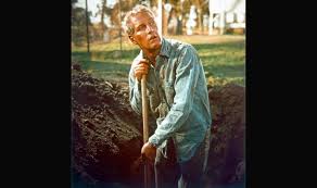 Cool Hand Luke (1967) - Columbus Association for the Performing Arts