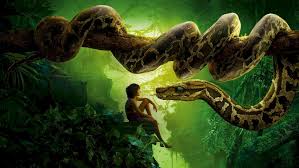 Livre de la jungle disney mowgli kaa clip. Kaa Le Serpent Du Livre De La Jungle Secrets De Serpent