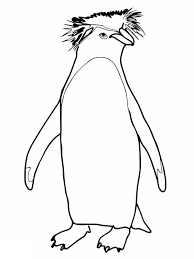 A Drawing Of Rockhopper Penguin Coloring Page | Kids Play Color | Penguin  Coloring Pages, Penguin Coloring, Childrens Colouring Book