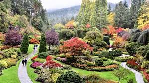 Pin By Julie On The Glory Of The Garden In 2020 Butchart Gardens Beautiful Gardens Sunken Garden