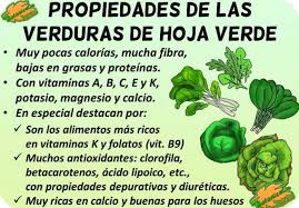 We did not find results for: Lista De Verduras De Hoja Verde Y Sus Beneficios Botanical Online
