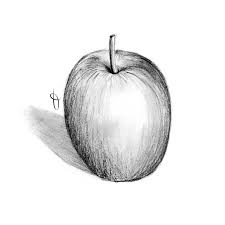 D Art 2013 2017 30 Wattpad