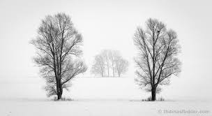 We did not find results for: Thomas Finkler Fine Art Photography Thomas Finkler Photography