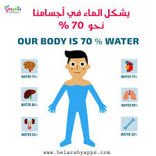 موضوع عن الماء موضوع تعبير عن الماء سر الحياة بالعربي نتعلم Family Guy Our Body Body