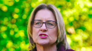 DonateLife: musician Fiona Lee Maynard saves life of husband James Lomas  with kidney donation