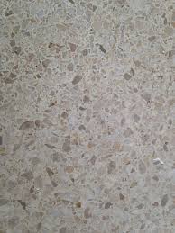 1950s Terrazzo Floor Terrazzo Flooring Terazzo Floor Flipping Houses
