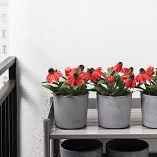 Boysenbar Ubertopf Drinnen Draussen Hellgrau Ikea Deutschland Pflanztopfe Gross Zimmerpflanzen Ideen Topfblumen