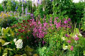 Add character to your backyard with classic flower combinations. Cottage Garden