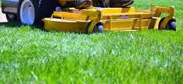 Choose a service below for more information. Pro Lawn Care Services Clark Lawn Pros Llc Coventry Cranston Warwick West Warwick And West Greenwich
