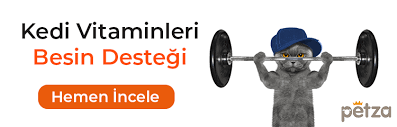 Kediler Neden Kusar Petza