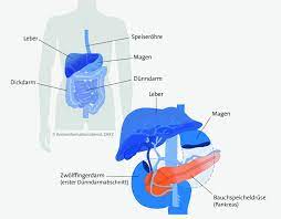 Bauchspeicheldrusenkrebs Symptome Risikofaktoren Diagnose Und Therapie