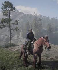 What Is The Best Horse In Rdr2 Story Mode? - Quora
