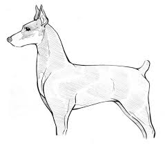 40 relaxing doberman coloring pages in mandala styl. Beagle Dog Coloring Pages Novocom Top
