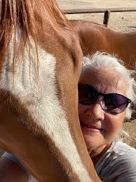 Pegi Longen Performance Horses‎