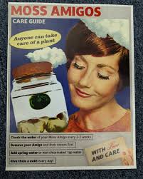 The new best friend that you didn't know you needed has arrived at the  Emporium! Let us introduce Moss Amigos- high quality and super friendly  Moss Balls. In three sizes, these cuties