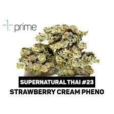 Supernatural Thai #23 (Strawberry Cream Pheno) | Prime Wellness | Premium -  Jane