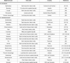 Image result for Antidesma membranaceum