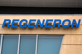 Is a biotechnology company, which engages in the discovery, invention, development, manufacture, and commercialization of medicines. Eu Regulator Reviewing Lilly Regeneron Covid 19 Antibody Therapies Reuters