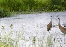 Maybe you would like to learn more about one of these? Il Camp Alphonse 5376 Park Rx America