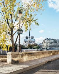 Notre Dame De Paris Vue De La Pointe De L Ile Saint Louis Paris Ile Saint Louis Paysage Paris