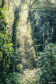 Here are the times (may 2017): Monteverde Santa Elena Uber Den Baumkronen Costa Ricas Lens Feather