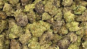Buds are ready to harvest when hairs have darkened and curled in, revealing the solid bud underneath. Cannabis Legalization Hits Impasse Over Social Equity Ctnewsjunkie