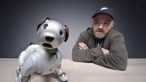 Maybe you would like to learn more about one of these? The 3000 Sony Aibo Robot Dog Youtube