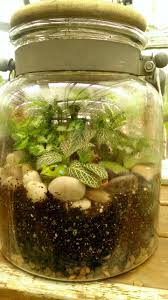Jar Terrarium Frogs Are Optional Terrarium Terrarium Jar Decor