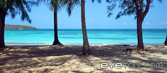 Bioluminescent Beach Puerto Rico Fajardo Reception Venue Ideas Puerto Rico Bioluminescent Bay East Coast