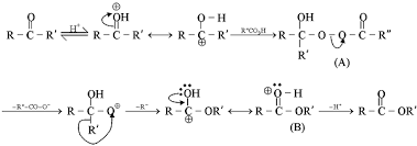 Share your opinion and gain insight from other stock traders and investors. Reaction Mechanics Example Of Baeyer Villiger Oxidation