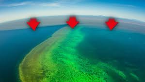 The bleaching event was caused mainly by warming ocean temperatures due to climate change, and marks the third mass bleaching event the great barrier reef has experienced in just the last five years. Great Barrier Reef Nachrichten Infos Krone At