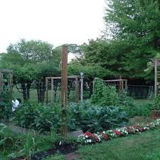 There are many advantages to growing fruit trees in pots. Backyard Gardening Vegetables Herbs Fruit Trees Landscaping Ideas Home Facebook