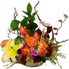 We did not find results for: Mandeville Something Different Display Gift Baskets Delivery Something Different Display Mandeville Gift Baskets Hampers