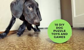 We did not find results for: Diy Food Puzzles For Dogs Cheap Buy Online
