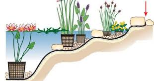 Teichfolie Locher Finden Und Abkleben Gartenteich Bepflanzen Gartenteich Wasserpflanzen
