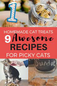 10 Awesome Homemade Cat Treats For Picky Cats Cat Treats Homemade Homemade Cat Food Homemade Cat Treats Recipes