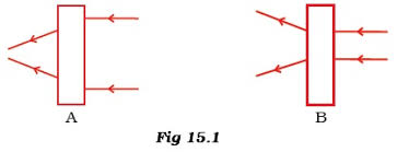 Image result for sdt 7th light concave convex worksheet