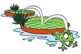 Canal Kids Meio Ambiente Mundo Das Plantas Vitoria Regia
