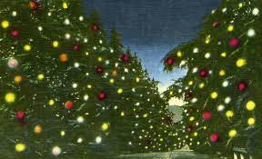 Christmas Tree Lane The Origins Of A Southern California Tradition Christmas Tree Tree Christmas
