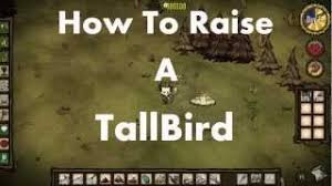 Tallbird Egg Don T Starve Wiki