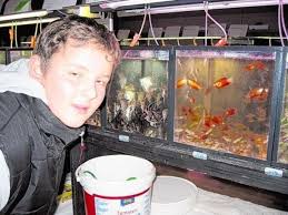 Staunen über die Welt der Fische