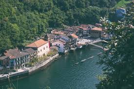 Image result for Pasaccardoa