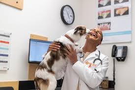 Pet emergencies often times occur out of the blue and at unexpected times. Mars Veterinary Health Linkedin